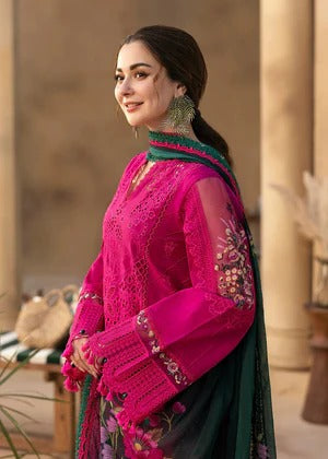 Raniza